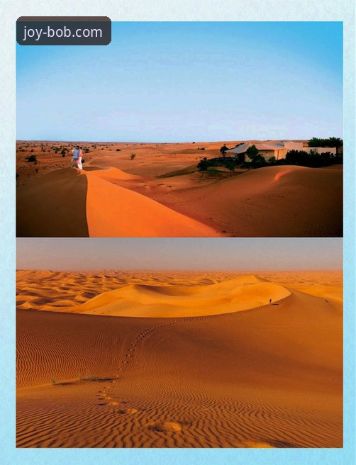 沙漠天堂的等待 vs. 指尖赛场的即时：BOB娱乐平台如何重塑体育观赏的边界